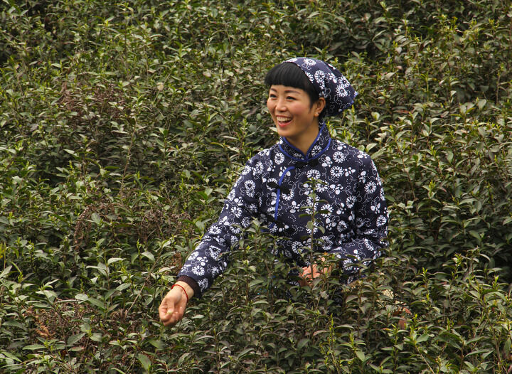 热荐1
